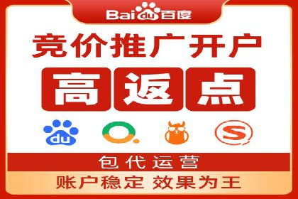 百度广告竞价之成功案例：某行业领军企业的崛起之路